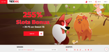 red dog casino review and rating